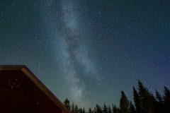 Mikkelin-Kesakisat-2025-002