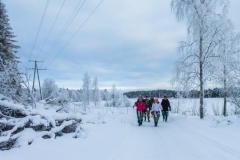 1491421553370_1_large