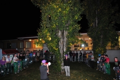 1367162727513_2_large